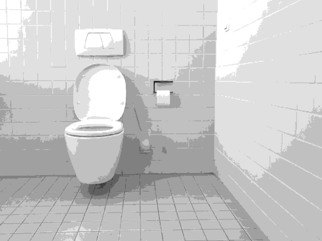toilet clogs