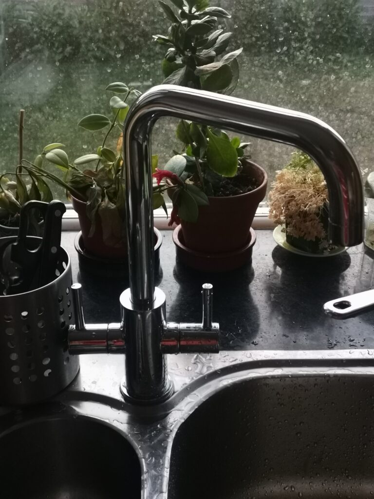 prevent Clogged Kitchen Sink